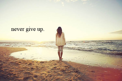 Never Give Up. ~ shared by Paula F.